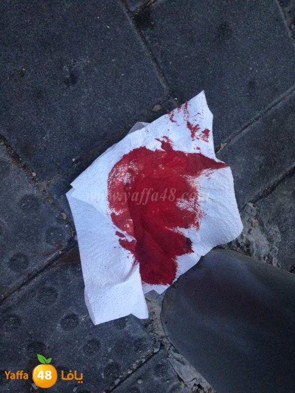 ta3n yaffa 0504 (2).JPG